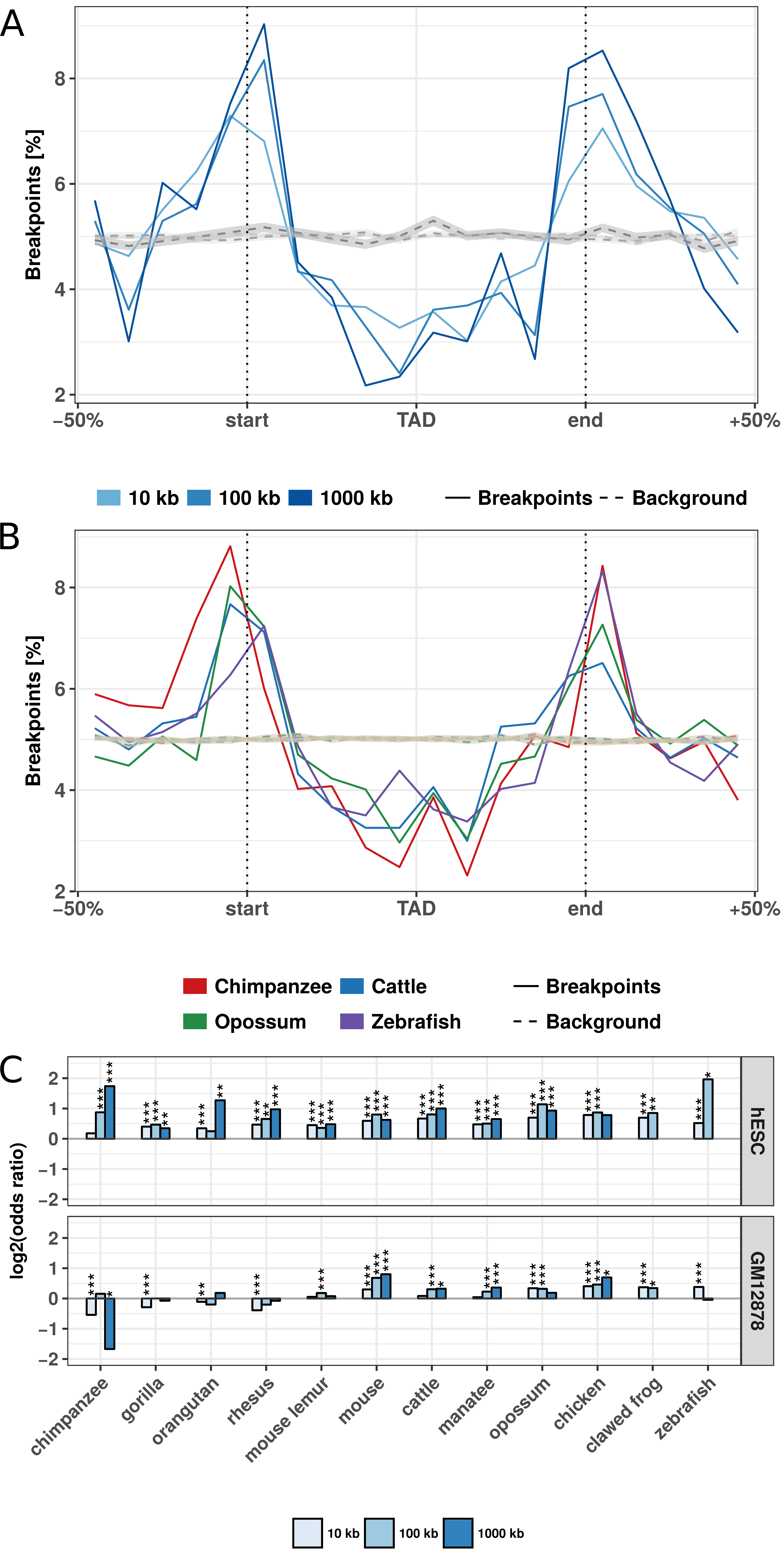 Evolutionary rearrangements are enriched at TAD boundaries. (A) Distribution of evolutionary rearrangement breakpoints between human and mouse around hESC TADs. Each TAD and 50% of its adjacent sequence was subdivided into 20 bins of equal size, the breakpoints were assigned to the bins and their number summed up over the corresponding bins in all TADs. Blue color scale represents breakpoints from different fill-size thresholds. Dotted lines in gray show simulated background controls of randomly placed breakpoints. (B) Distribution of rearrangement breakpoints between human and: chimpanzee, cattle, opossum, and zebrafish, at 10 kb size threshold around hESC TADs. Dotted lines in gray show simulated background controls of randomly placed breakpoints. (C) Enrichment of breakpoints at TAD boundaries as log-odds-ratio between actual breakpoints at TAD boundaries and randomly placed breakpoints. Enrichment is shown for three different fill size thresholds (blue color scale) and TADs in hESC from (Dixon et al. 2012) (top) and contact domains in human GM12878 cells from (Rao et al. 2014) (bottom), respectively. Asterisks indicate significance of the enrichment using Fisher’s exact test (*p <= 0.05; **p <= 0.01; ***p <= 0.001).