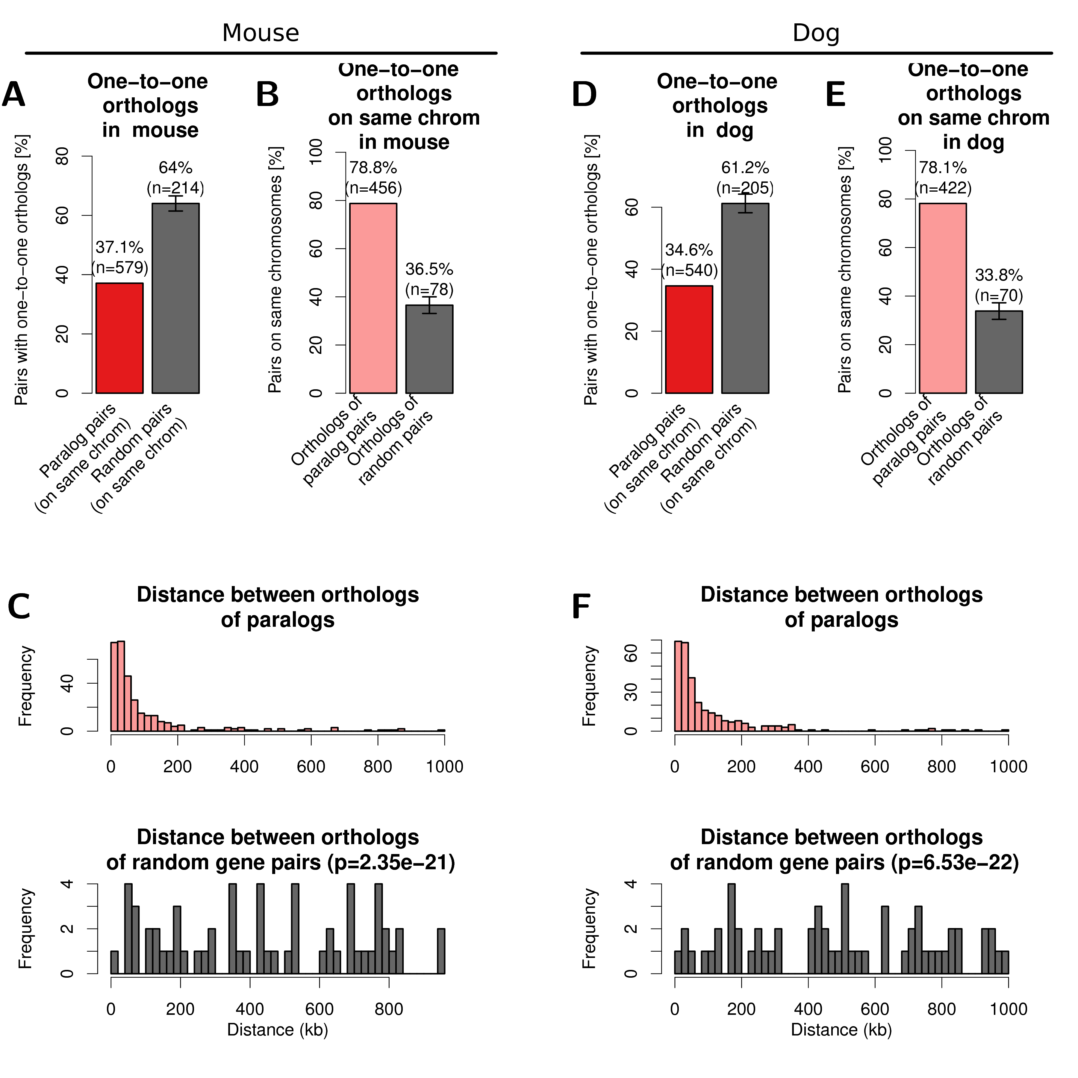 One-to-one orthologs of human paralogs in mouse (left) and dog (right) genome. (A) Percent of filtered human paralog pairs with one-to-one orthologs for both genes in mouse genome compared to random genes. (B) Percent of one-to-one orthologs on the same chromosome in the mouse genome (light red) and one-to-one orthologs of random human gene pairs on the same chromosome (dark grey). Error-bars indicate standard deviation of 10 times replicated randomizations. (C) Distribution of linear genomic distances between gene pairs for mouse one-to-one orthologs of human paralog gene pairs (top, light red) and one-to-one orthologs of random human gene pairs (bottom, dark grey). (D, E, F) show the same data for the dog genome as figures A, B, C, respectively.