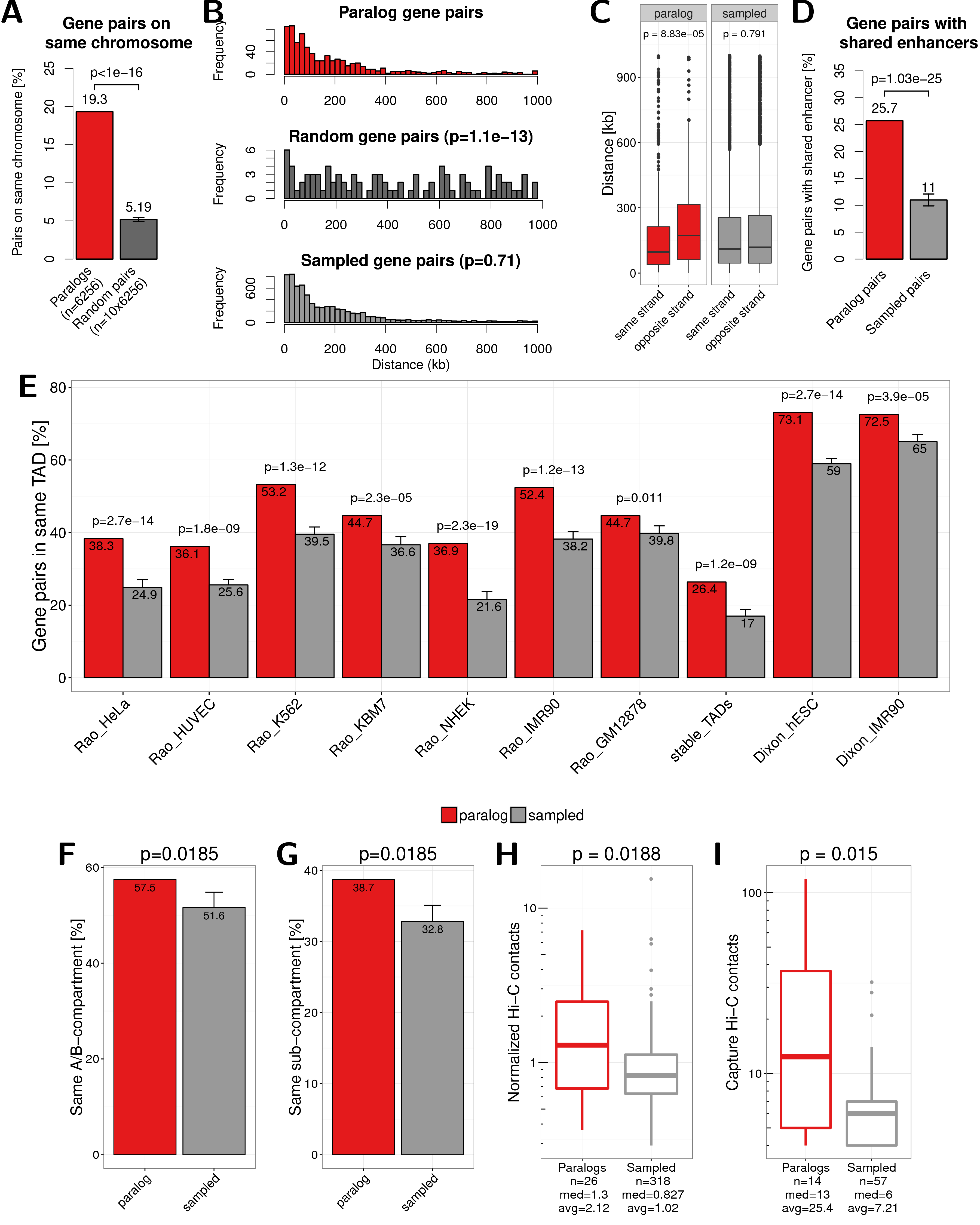 Main results of this study by changing the selection of paralog pairs from families with more than two paralogs. Here pairs are selected by maximizing the rate of synonymous mutations between them instead of minimizing, as in the main text. (A) Percent of paralogs pairs on the same chromosome compared to random pairs. (B) Distance distribution between pairs of paralogs (red), random pairs (dark grey), and sampled pairs according to the distances of paralogs (grey). (C) Genomic distance between close paralogs and sampled pairs separated by same strand or not same strand of gene pairs. (D) Percent of close paralogs and sampled pairs with at least one shared enhancer. (E) Percent of close gene pairs located within the same TAD for different TAD data sets. (F) Percent of paralog and sampled pairs that are in the same A/B compartment. (G) Percent of paralog and sampled pairs that are in the same subcompartment. (H) Normalized Hi-C contacts between distal paralogs and sampled genes. (I) Promoter capture-C contacts between distal paralogs and sampled genes.