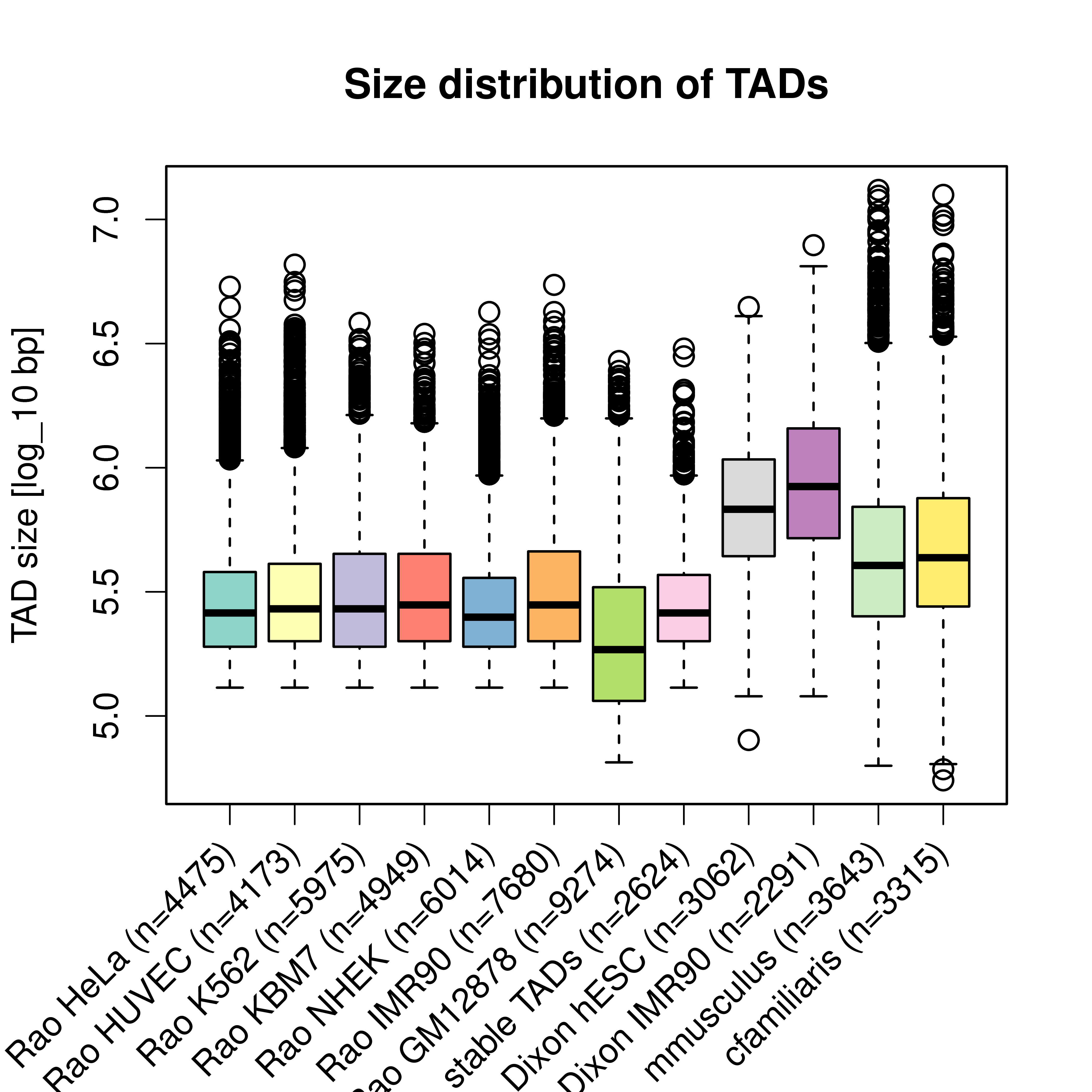 Size distribution of TADs in different cell-types, studies, and species. Each box shows the size-distribution of one data set of TADs. The labels indicate the study (Rao (Rao et al. 2014), or Dixon (Dixon et al. 2012)), cell type and number of TADs in each data set. The last two boxes are for TADs from Hi-C experiments in mouse and dog Hi-C liver cells (Vietri Rudan et al. 2015).