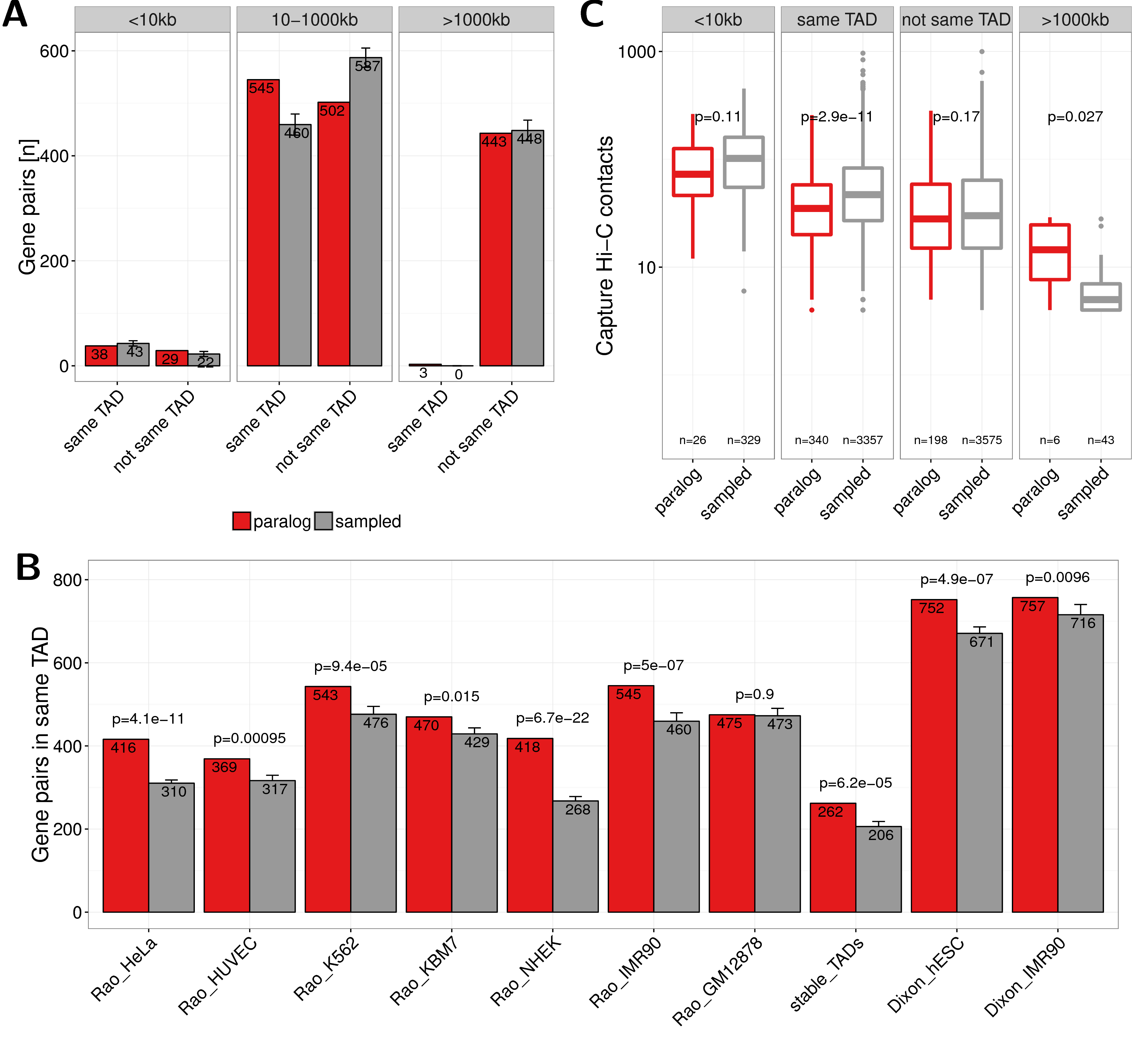 (A) Number of paralog (red) and sampled (grey) gene pairs that are in the same TAD or not separated in three groups of genomic distances (0-10kb, 10-1000kb and \(>\) 1000kb). TADs called from IMR90 cells by (Rao et al. 2014) were used here. (B) Co-localization of gene pairs with genomic distances between 10kb and 1000kb within the same TAD for paralogs and sampled gene pairs and separated by TAD data sets from different cell types and studies. The first seven bars show values for TADs called in HeLa, HUVEC, K562, KBM7, NHEK, IMR90, and GM12878 cells by (Rao et al. 2014). The eighth bar shows the value for stable TADs across cell types form this study (at least 90% reciprocal overlap in 50% of cells). The last two bars show data for TADs called in hESC and IMR90 cells by (Dixon et al. 2012). Error bars indicate standard deviation in 10 times replicated sampling of gene pairs. P-values are computed using Fisher’s exact test. (C) Promoter capture-C contacts between pairs of paralogs (red) and sampled gene pairs (grey) for the groups: $<$10kb genomic distance, located in the same TAD, not in the same TAD, and with genomic distance $>$1000kb.