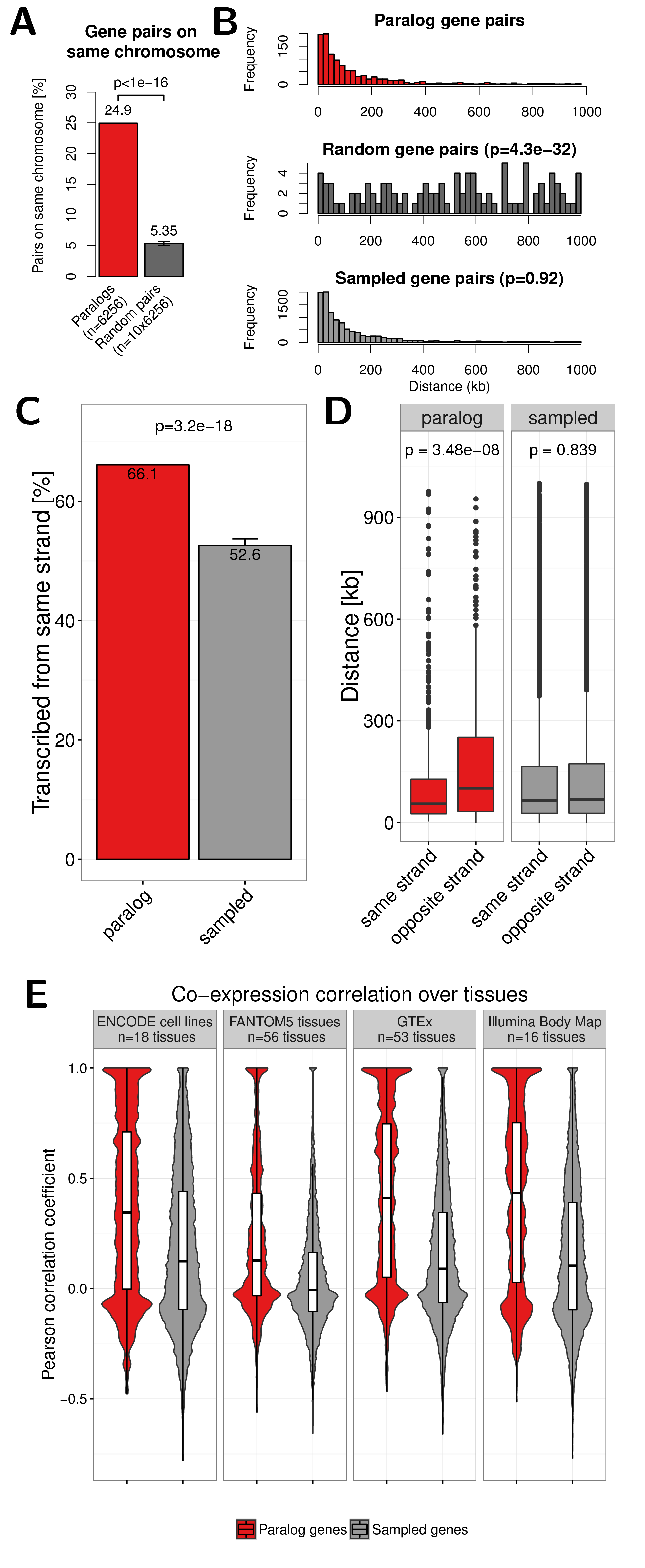 (A) Percent of paralog (red) and random (dark grey) gene pairs that are located on the same chromosome. The error bar indicates the standard deviation observed in 10 times replicated random sampling of gene pairs. (B) Genomic distance distribution of paralogs gene pairs (top), random gene pairs (center) and gene pairs sampled according to distance distribution of paralogs (bottom). Distances are measured in kilo base pairs (kb) between TSS of genes in pairs. P-values are calculated using Wilcoxon rank-sum test. (C) Percent of paralog (red) and sampled (grey) gene pairs that are transcribed from the same strand. Only pairs on the the same chromosome within 1 Mb are considered here. Error bars indicate the standard deviation observed in 10 times replicated sampling of gene pairs. (D) Boxplot of the genomic distance between paralogs and sampled gene pairs with the same or opposite strands. (E) Distribution of Pearson correlation coefficients of gene expression values in four independent data sets between paralog gene pairs (red) and sampled control gene pairs (grey). White boxes show 25th, 50th and 75th percent quantile of the data and the filled areas indicate the density distribution..