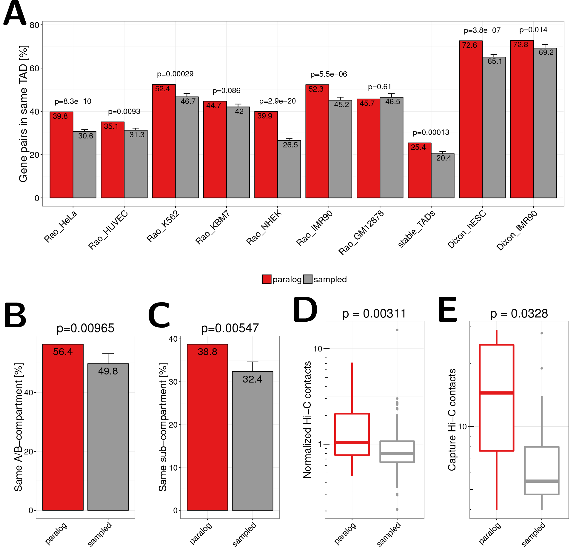 (A) Co-localization of close paralog genes within the same TAD compared against sampled gene pairs for TAD data sets from different cell types and studies. The first seven bars show values for TADs called in HeLa, HUVEC, K562, KBM7, NHEK, IMR90, and GM12878 cells by (Rao et al. 2014). The eighth bar shows the value for stable TADs across cell types form this study (at least 90% reciprocal overlap in 50% of cells). The last two bars show data for TADs called in hESC and IMR90 cells by (Dixon et al. 2012). Error bars indicate standard deviation in 10 times replicated sampling of gene pairs. P-values are computed using Fisher’s exact test. (B) Percent of gene pairs annotated to same A/B compartment according to Hi-C data in GM12878 cells from (Rao et al. 2014). Pairs located in the very same compartment interval were excluded. (C) Percent of gene pairs annotated to same sub compartment (A1, A2, B1, B2, B3, B4) according to (Rao et al. 2014). Pairs located in the same subcompartment interval were excluded. (D) Normalized Hi-C contact frequencies between TSSs of distal paralog gene pairs and sampled background gene pairs. (E) Promoter capture-C contact frequencies between distal paralog gene pairs and sampled background gene pairs.