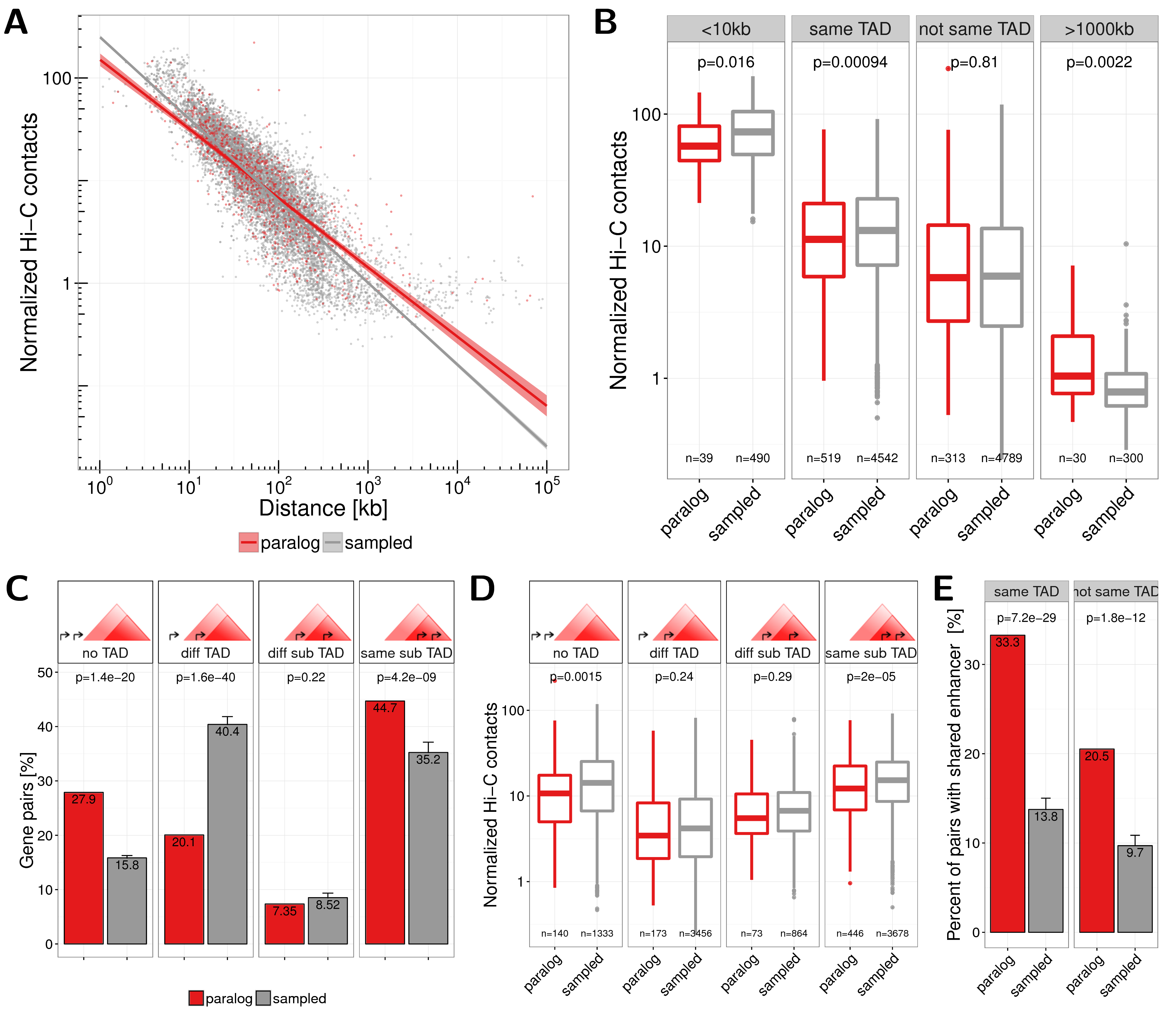 (A) Normalized Hi-C contacts by genomic distance between paralog (red) and sampled (grey) gene pairs. Lines show linear regression fit separately for paralogs (red) and sampled (grey) pairs with 95% confidence intervals in shaded areas. (B) Normalized Hi-C contacts between pairs of paralogs (red) and sampled gene pairs (grey) for the groups: $<$10kb genomic distance, located in the same TAD, not in the same TAD, and with genomic distance $>$1000kb. (C) Number of gene pairs located either in no TAD, in different TADs (or only one pair member in a TAD), both in a TAD but in different sub-TADs, or within the same sub-TAD, for paralogs (red) and sampled (grey) pairs. TADs from IMR90 cells from (Rao et al. 2014) were used, which nested in contrast to TAD calls from (Dixon et al. 2012). (D) Normalized Hi-C contacts between pairs of paralogs (red) and sampled gene pairs (grey) for the four groups of pairs in sub-TAD structures shown in (C). (E) Percent of gene pairs with at least one shared enhancer for paralog genes (red) and sampled control genes (grey) separated for pairs in the same IMR90 TAD (left) or not (right).